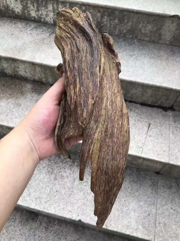 沉香别称,沉香名称大全
