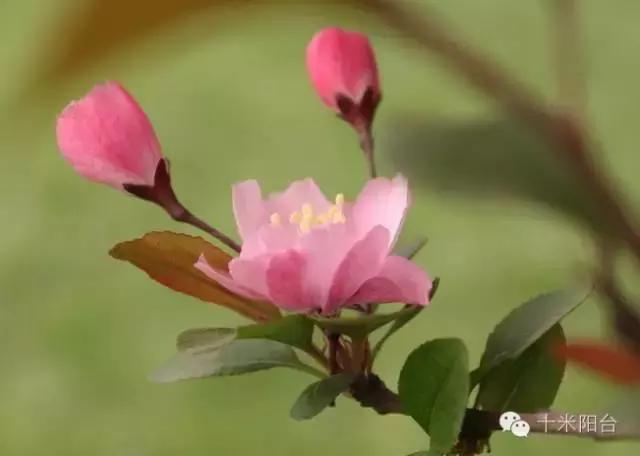 茅盾和秦德君,茅盾与秦德君关系