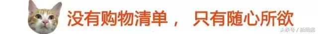 我们也可以像猫咪一样自由吗 (和猫一样的旅行)