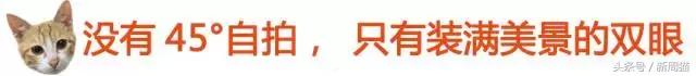 我们也可以像猫咪一样自由吗 (和猫一样的旅行)