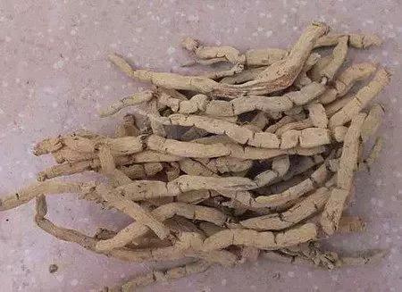 肇庆特产新鲜出炉文案,广东土特产广告语