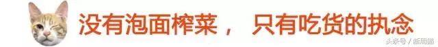 我们也可以像猫咪一样自由吗 (和猫一样的旅行)