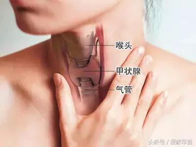 布什还是奥巴马？放射科杨大夫谈体检查出的结节和囊肿