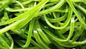 预防脱发的食物有哪些,雄激素脱发吃什么食物