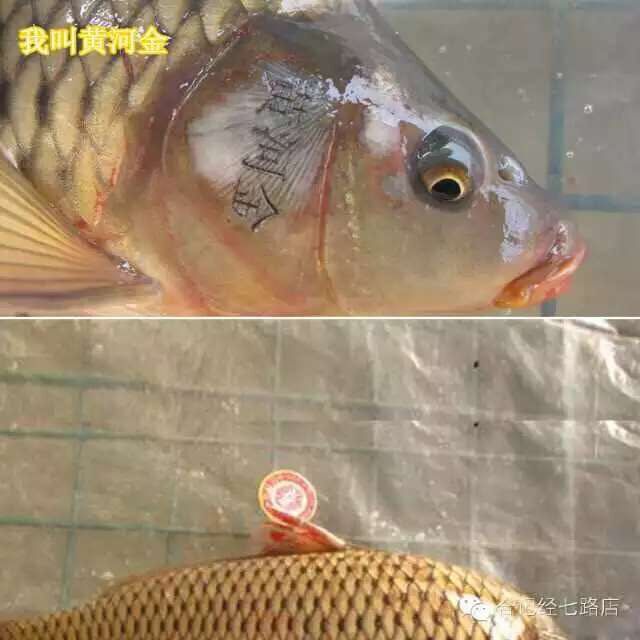 走吗约起之——外滩风尚西餐咖啡。各位您约了吗？我在太原尖草坪