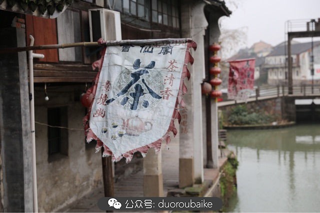 回忆之旅最适合带的植物,野外旅游必须记住的植物