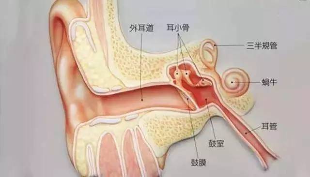 宝宝身上的脏东西洗不掉怎么办,宝宝屎迹怎么去除