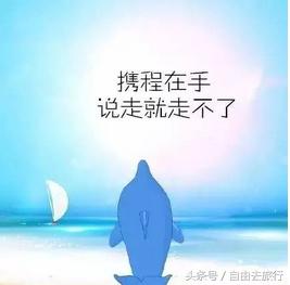 携程订票流程详解,携程订票安全吗