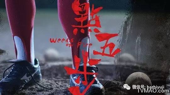 金像奖七月与安生,七月与安生获奖视频完整版