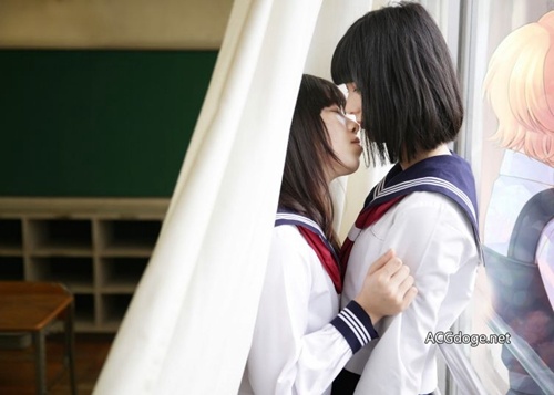 2024年百合展,百合展2019年