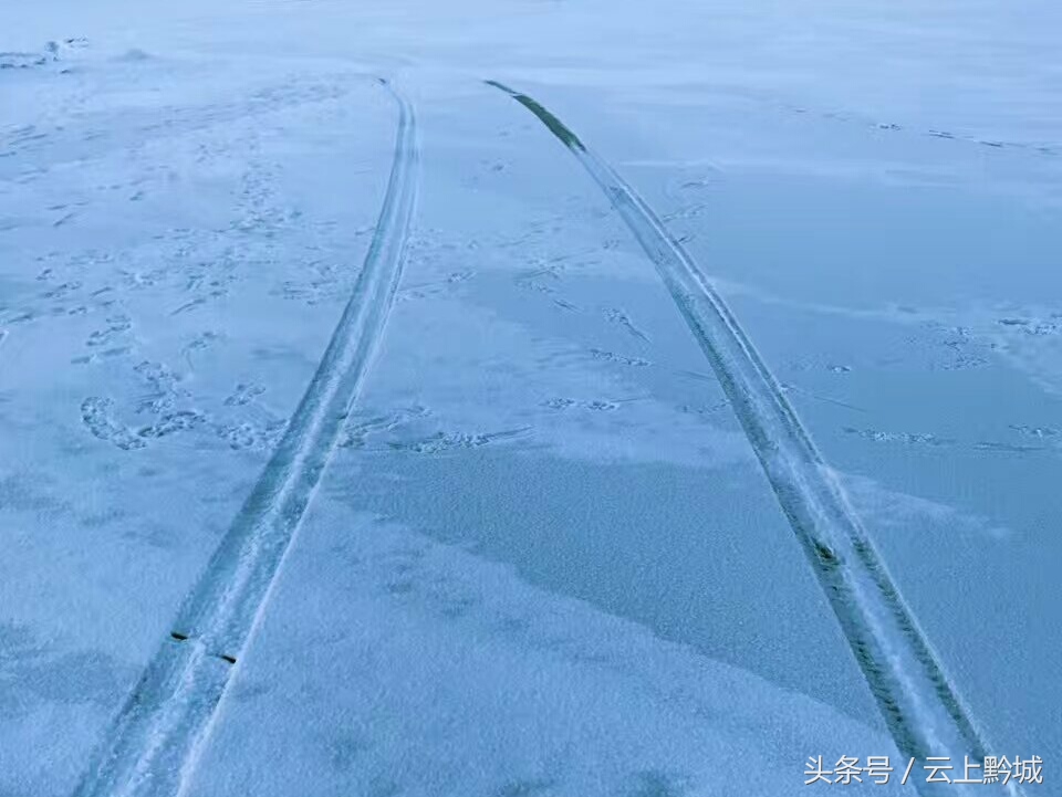 北海的冬天依然绿树成荫,冬天的北海让人忘记了寒冷