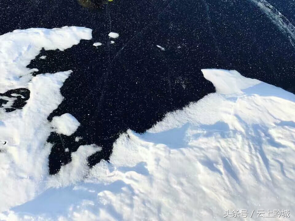 北海的冬天依然绿树成荫,冬天的北海让人忘记了寒冷