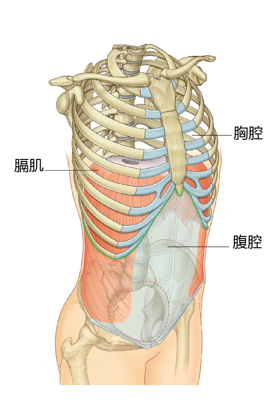 字里藏医全文及解释,字里藏医中医知识