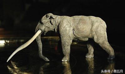 史前象科：大家伙们成为了早期人类的肉类仓库