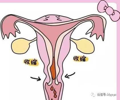 产后护理措施及健康宣教,剖宫产术后护理及注意事项试题