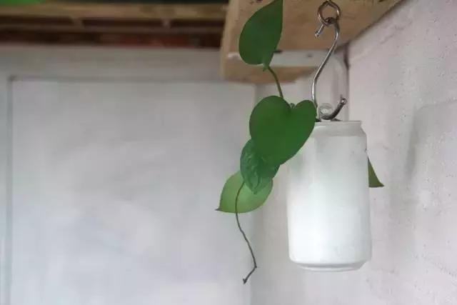 创意手工花盆旧物利用长方形,带把手茶壶旧物改造为花盆
