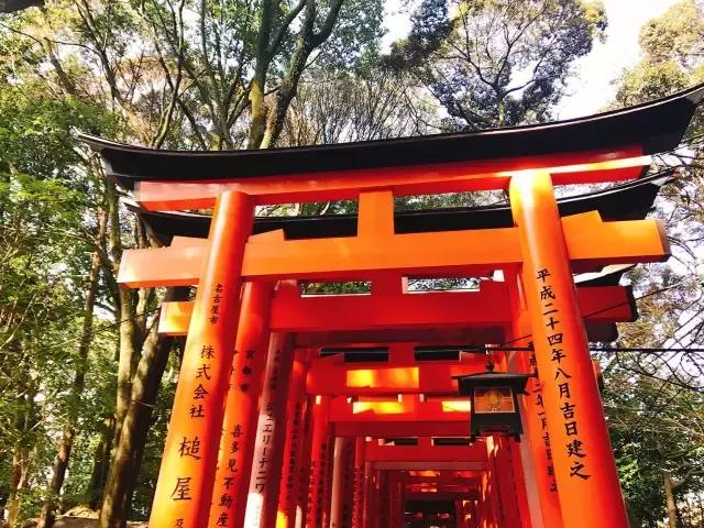 日本攻略大阪京都,京都奈良大阪流水账