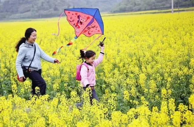 用VR看花海是种怎样的体验？这周就去免费看~