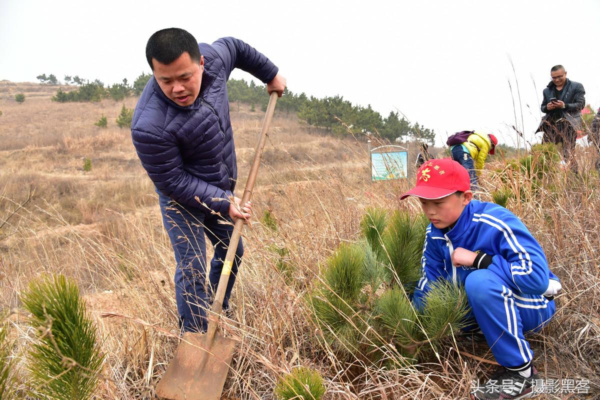 为什么让小学生上山植树造林，看完老师写的图文就明白