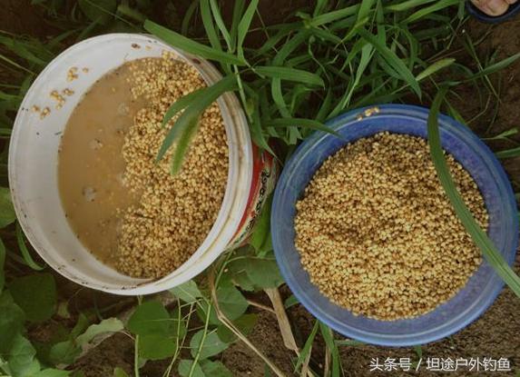 窝料大全和搭配,窝料搭配知识大全