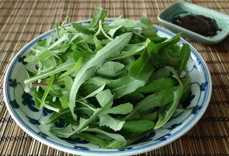 三月的味道，霞浦的野味正当时，给你的味蕾放个假