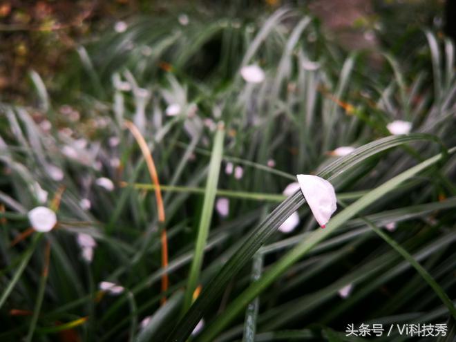 华为p10plus深度评测,金玉其外深度解析