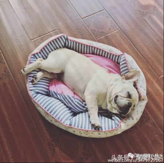 婚内招妓转移财产，花千万养小三，国足队员姜至鹏破门挺进出轨队