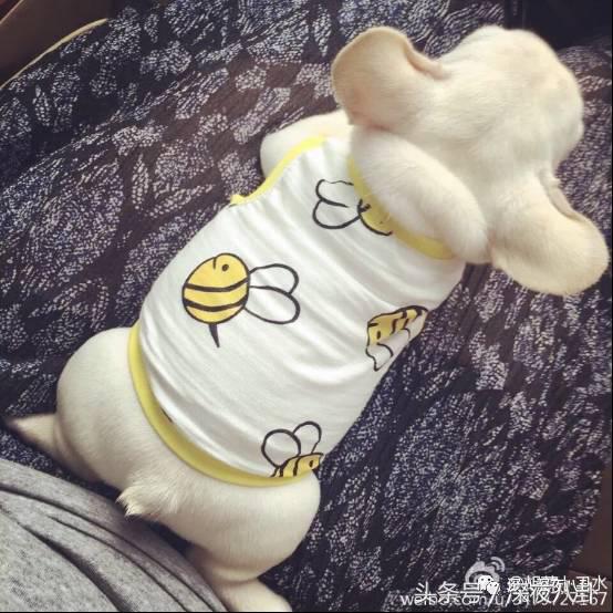 婚内招妓转移财产，花千万养小三，国足队员姜至鹏破门挺进出轨队