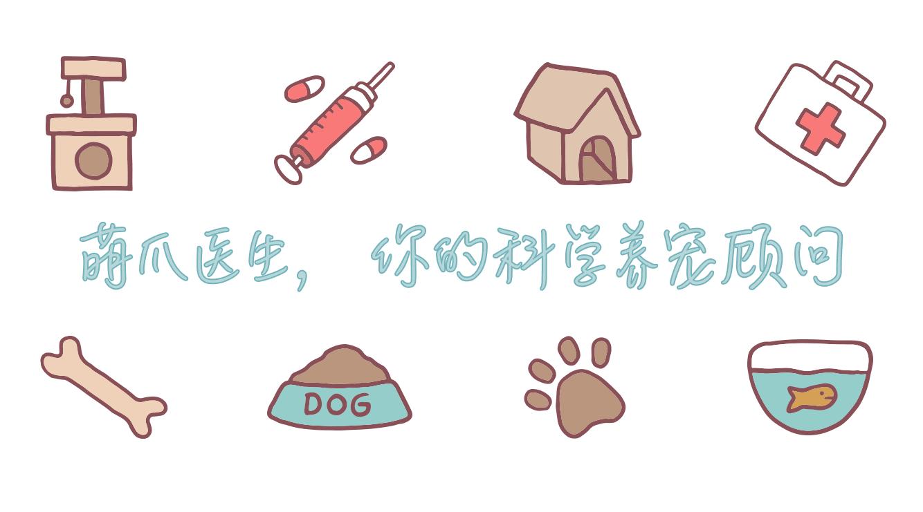 宠物去毛梳测评,猫毛梳测评真实