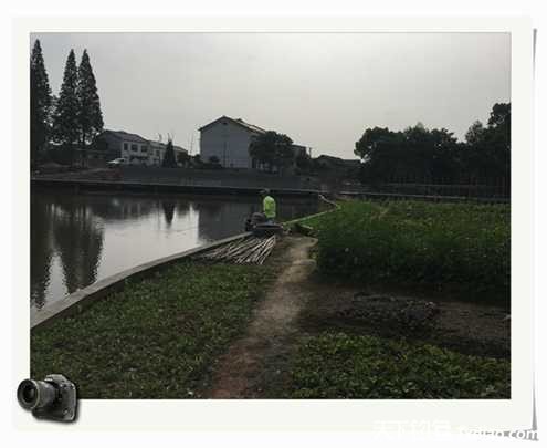 老地方钓鱼不好钓,五一抓鱼捕虾好去处