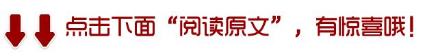 “零钱包”追讨引平台责任争议