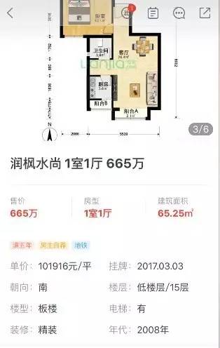 最流行的loft户型图,顶级loft户型