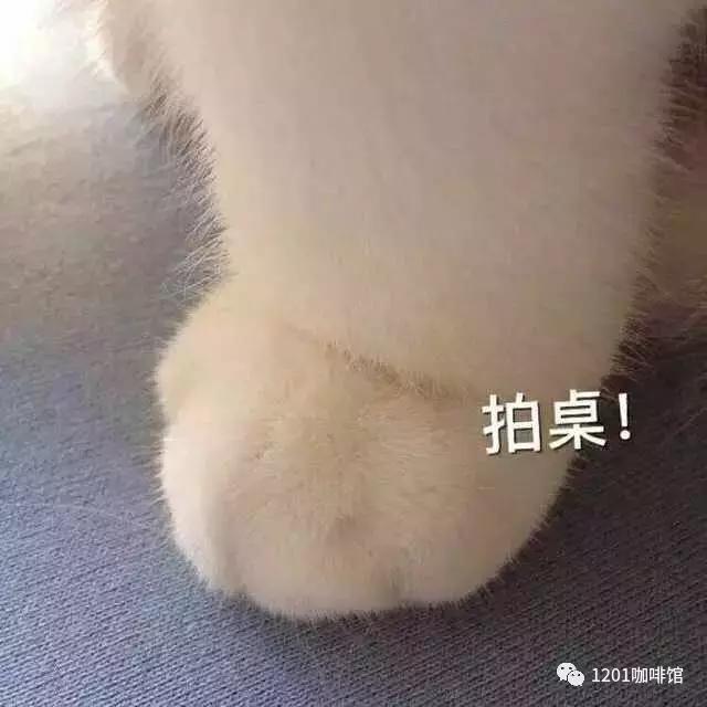 1201の“豆”游世界咖啡中的贵族——危地马拉