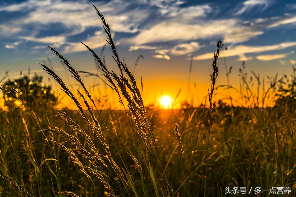 药品货源转让,药品批发转让