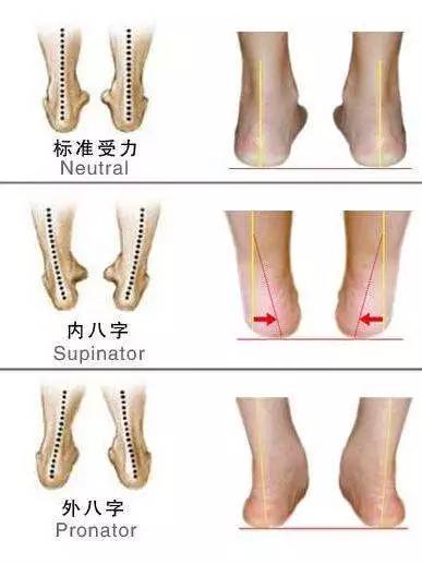 怎么坐改善驼背,宝宝怎么坐起来不伤腰