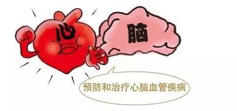 冬季怎么样预防心脑血管疾病,心脑血管患者夏季如何预防