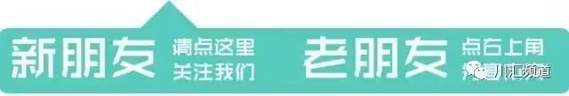 淮阳：荷叶荷花相间斗红娇绿嫩新妆就