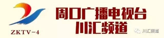 淮阳：荷叶荷花相间斗红娇绿嫩新妆就