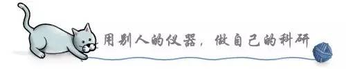中国最年轻的正教授多少岁,30岁以下的正教授