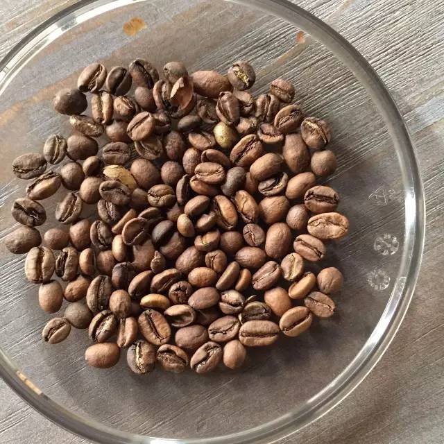 单品咖啡和意式咖啡,咖啡品种科普