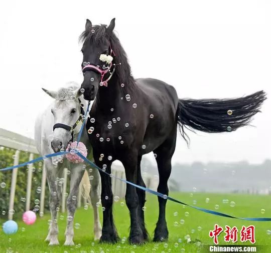 伊拉克地震最新信息,伊拉克地震新消息