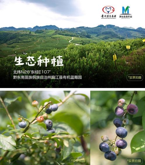 欢乐颂2罐装啤酒,欢乐颂2胜美喝酒