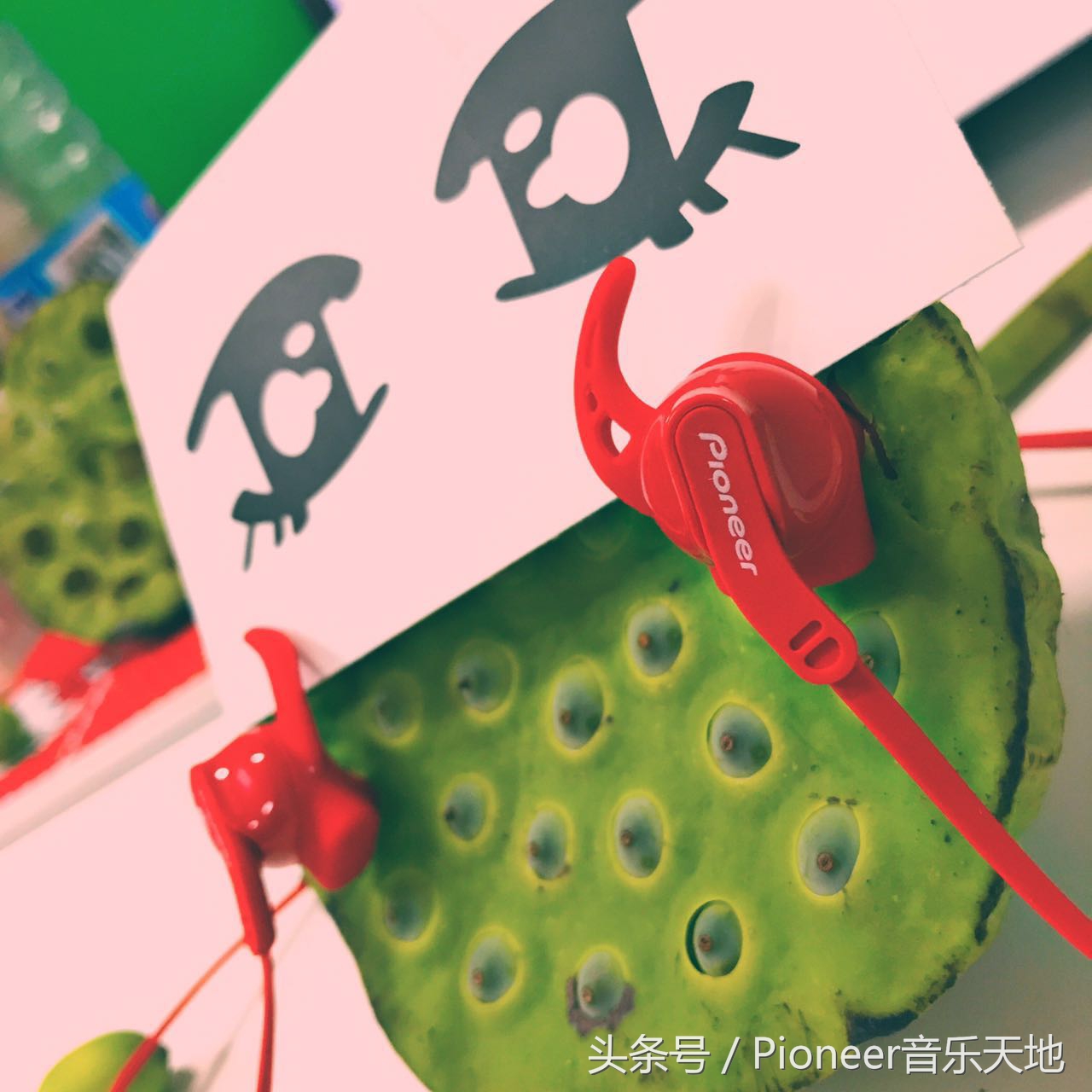 先锋LITSport夏天就要燥起来