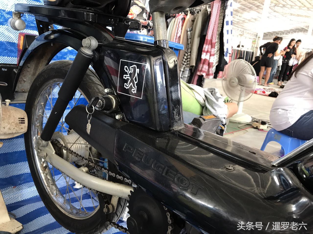 能骑着走的“标志摩托车”您见过不？开价五千，您觉得值不？
