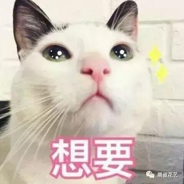 ysl口红七夕测评,ysl七夕哪款口红最值得买