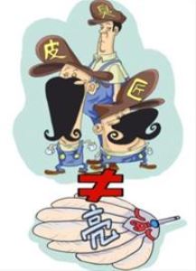 诸葛亮和臭皮匠动画,诸葛亮与臭皮匠的区分