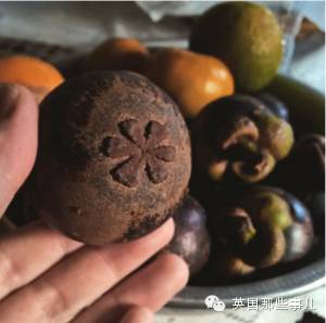 他骑自行车打造出这部横跨亚欧大陆的甜品集... 睡前千万不重点