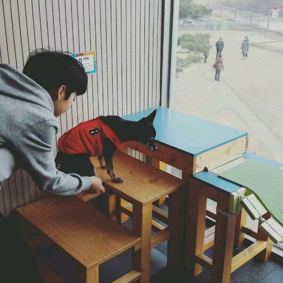 《showmethemoney6》赵宇灿丨十三岁的开挂人生！