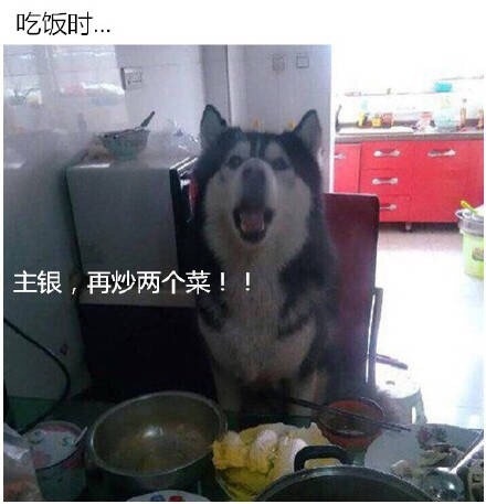 员工辞职理由怎么写,员工辞职申请需求审批吗
