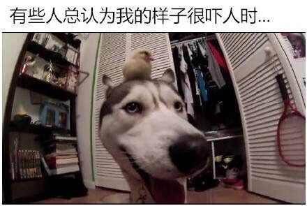 员工辞职理由怎么写,员工辞职申请需求审批吗